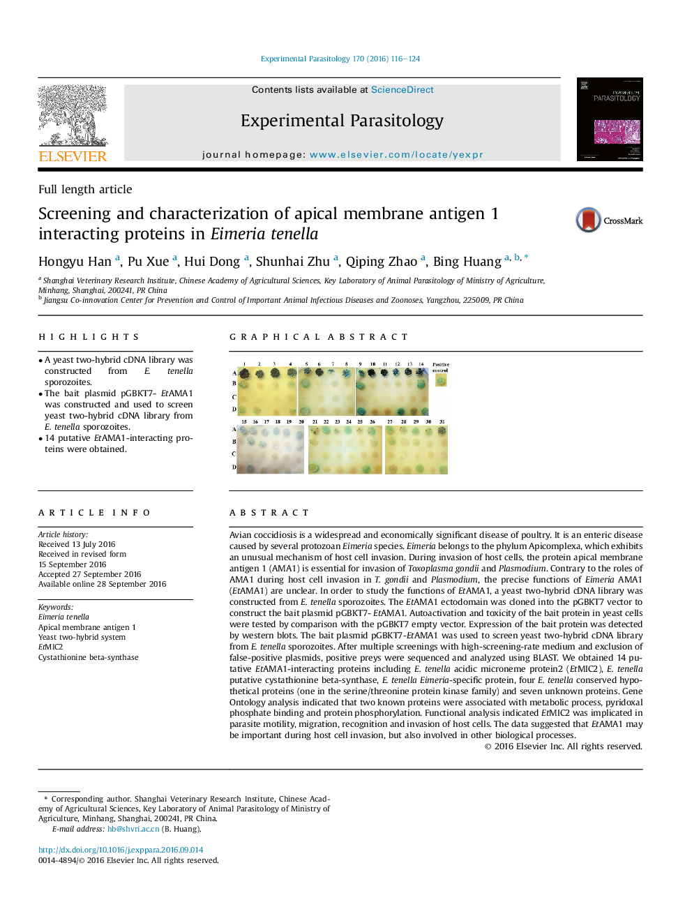 عکس صفحه اول مقاله: Full length articleScreening and characterization of apical membrane antigen 1 interacting proteins in Eimeria tenella Full length articleScreening and characterization of apical membrane antigen 1 interacting proteins in Eimeria tenella