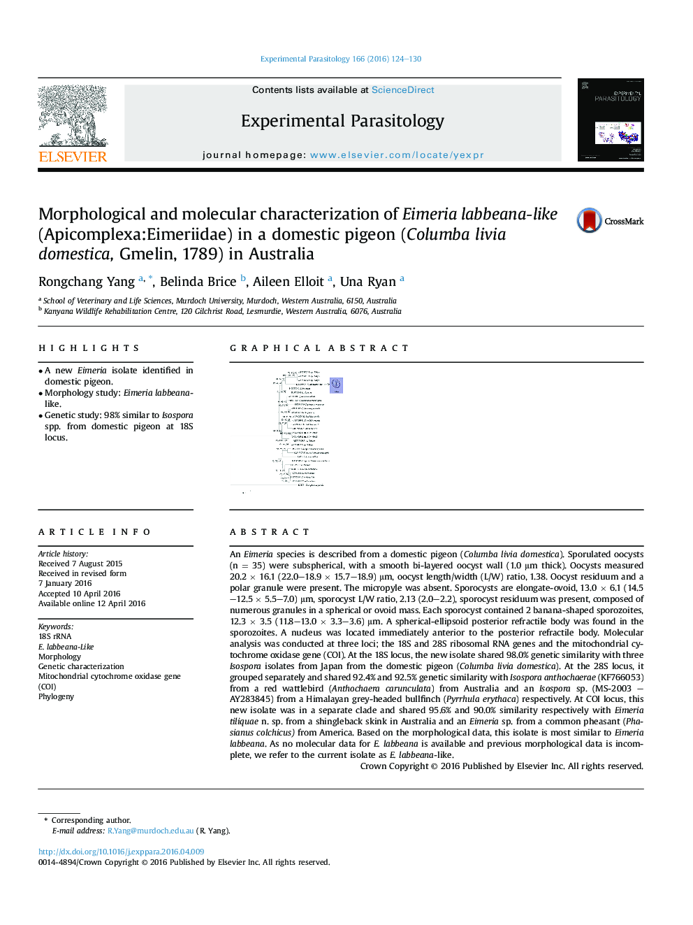 Morphological and molecular characterization of Eimeria labbeana-like (Apicomplexa:Eimeriidae) in a domestic pigeon (Columba livia domestica, Gmelin, 1789) in Australia