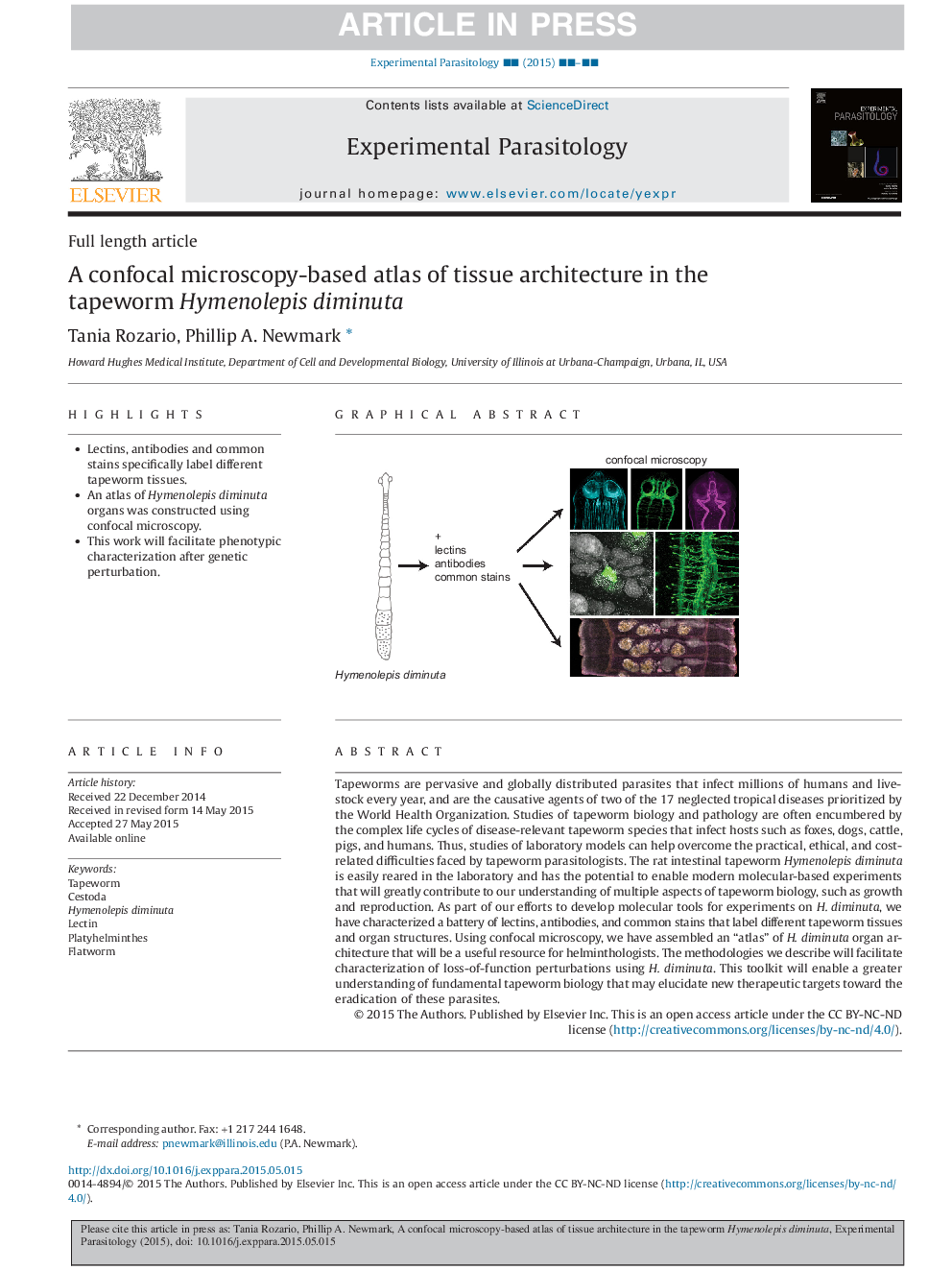 A confocal microscopy-based atlas of tissue architecture in the tapeworm Hymenolepis diminuta