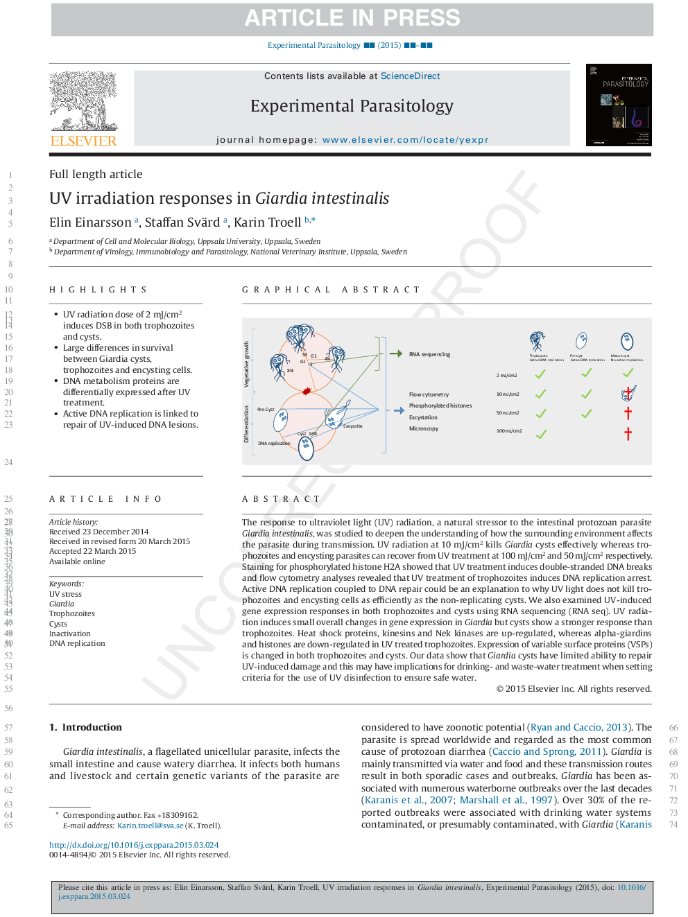 UV irradiation responses in Giardia intestinalis