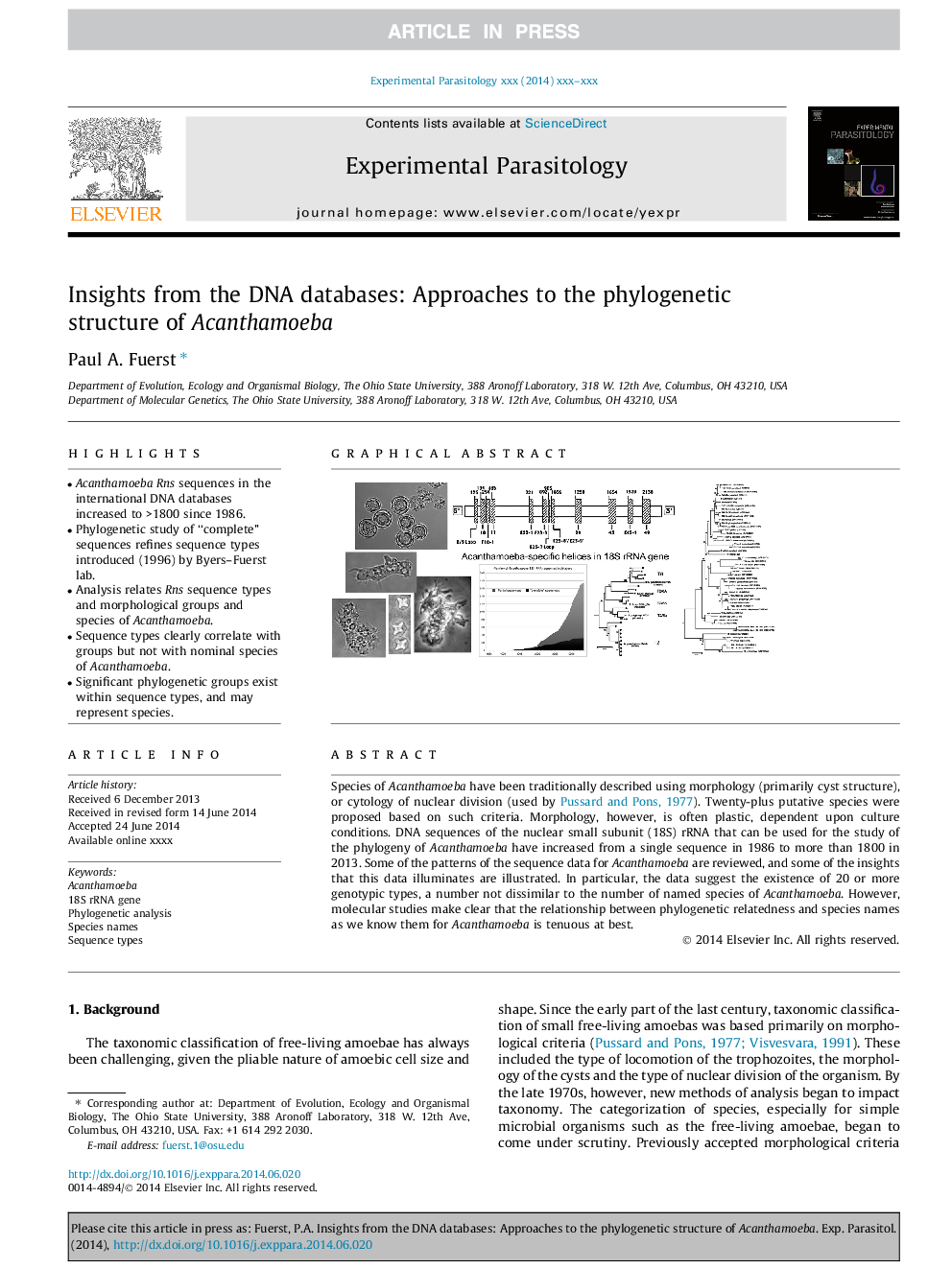 Insights from the DNA databases: Approaches to the phylogenetic structure of Acanthamoeba