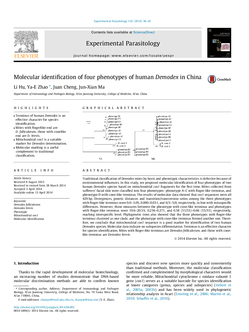 Molecular identification of four phenotypes of human Demodex in China