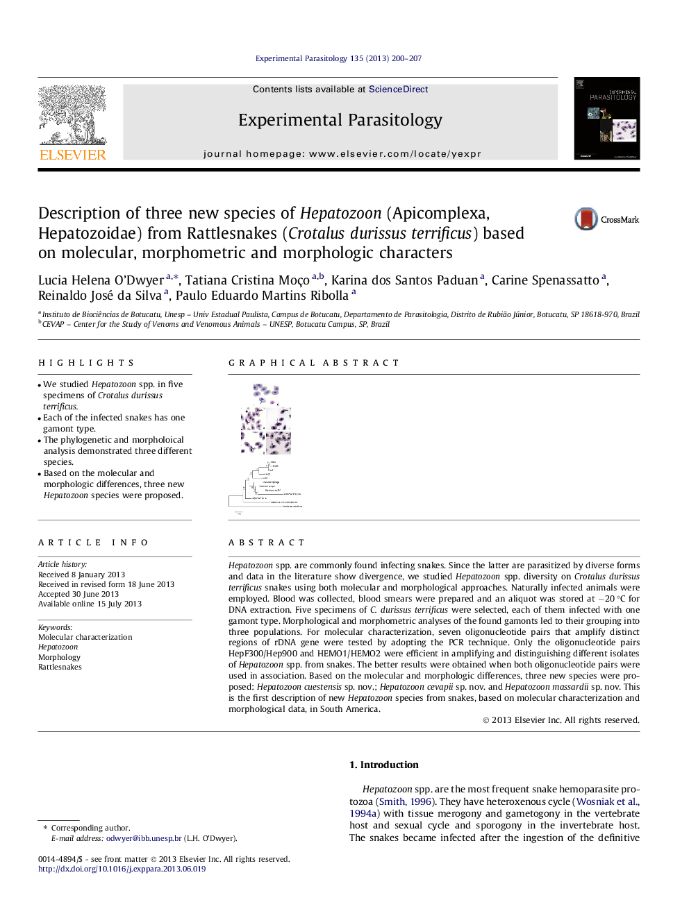 Description of three new species of Hepatozoon (Apicomplexa, Hepatozoidae) from Rattlesnakes (Crotalus durissus terrificus) based on molecular, morphometric and morphologic characters