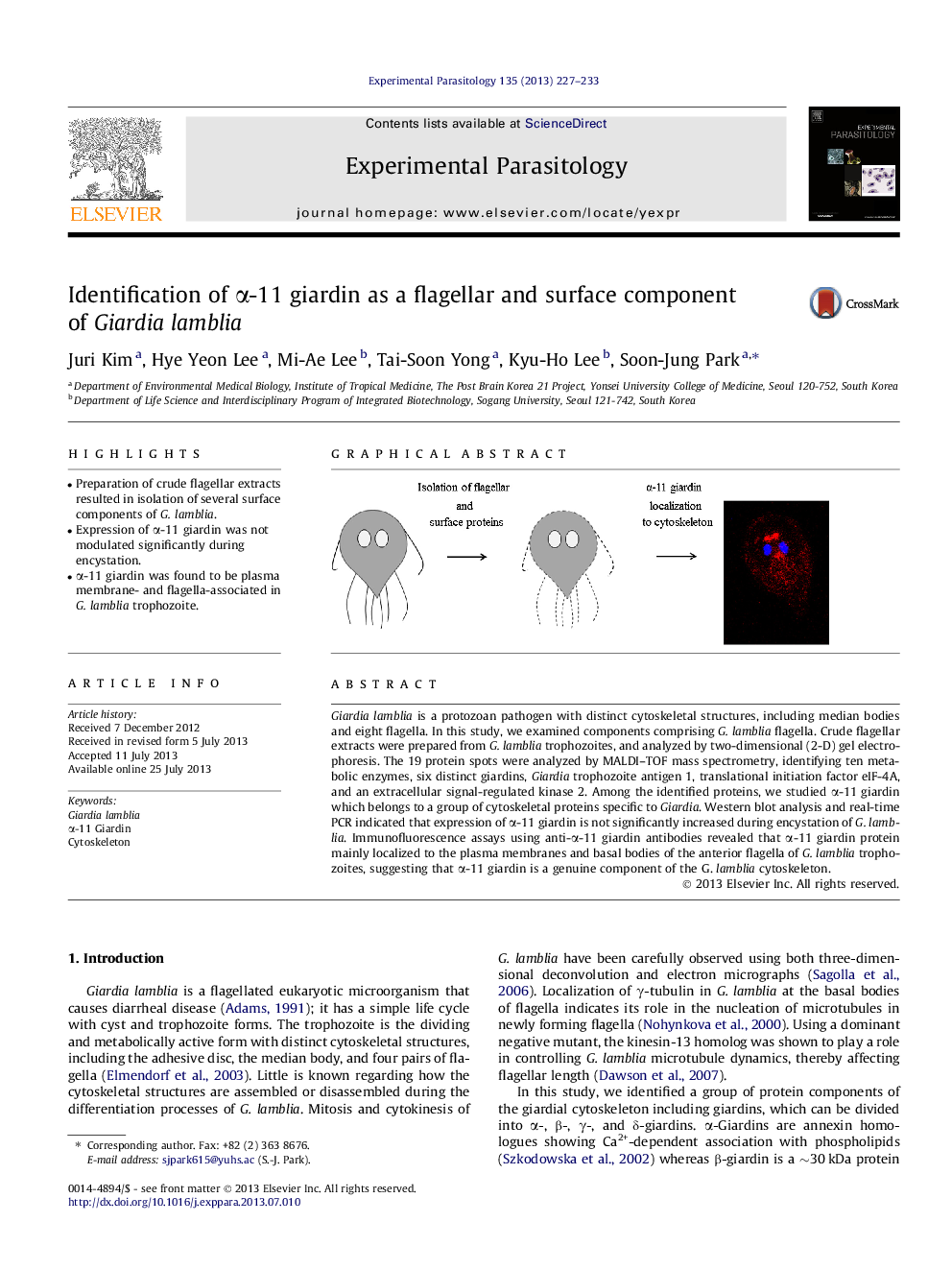 Identification of Î±-11 giardin as a flagellar and surface component of Giardia lamblia