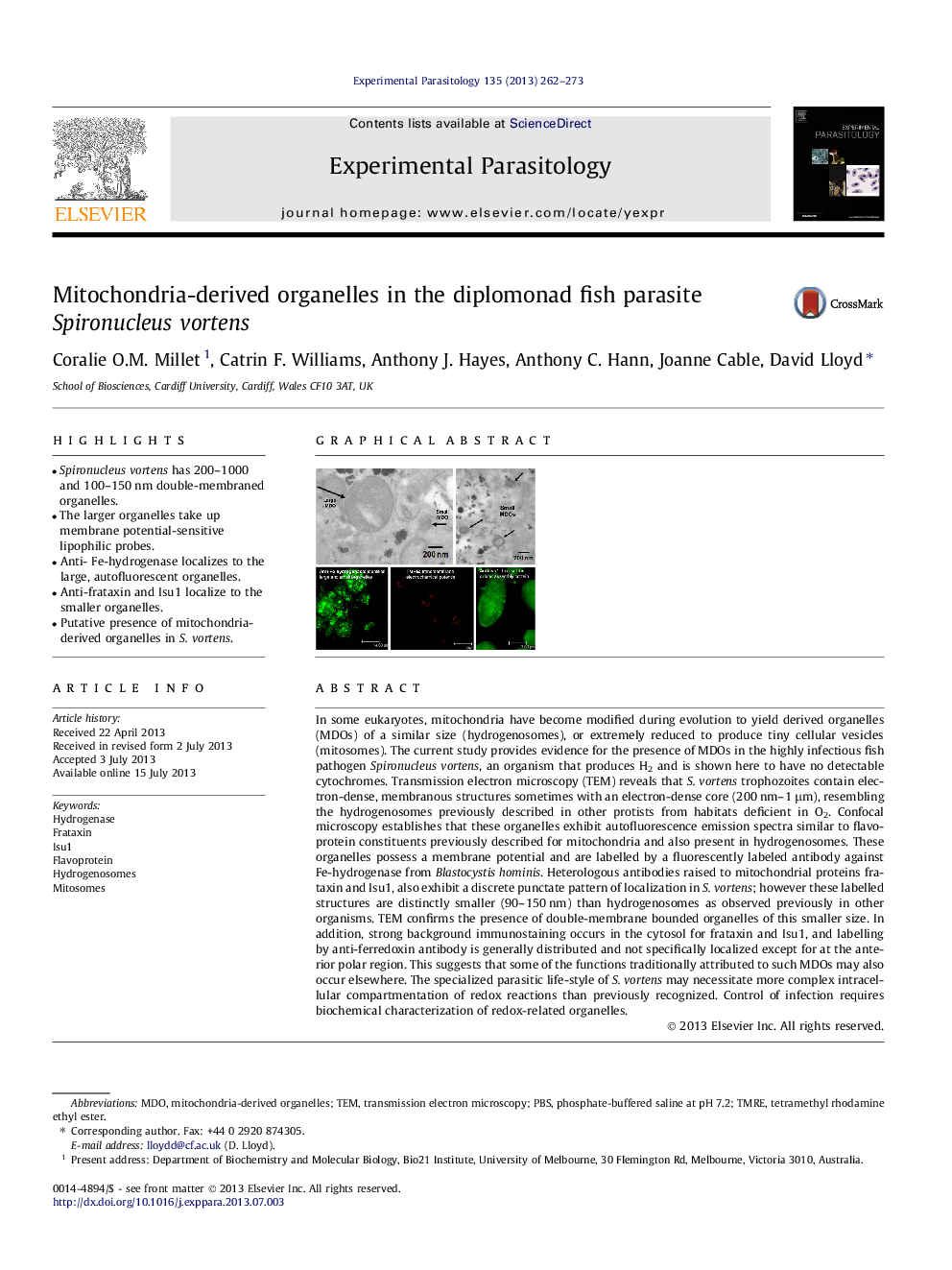 Mitochondria-derived organelles in the diplomonad fish parasite Spironucleus vortens