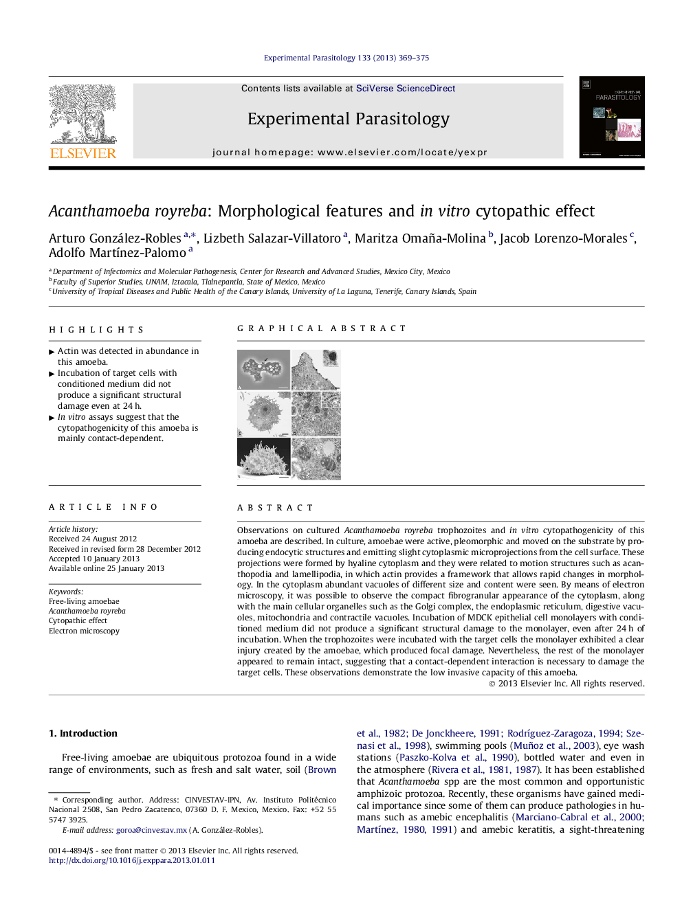 Acanthamoeba royreba: Morphological features and in vitro cytopathic effect