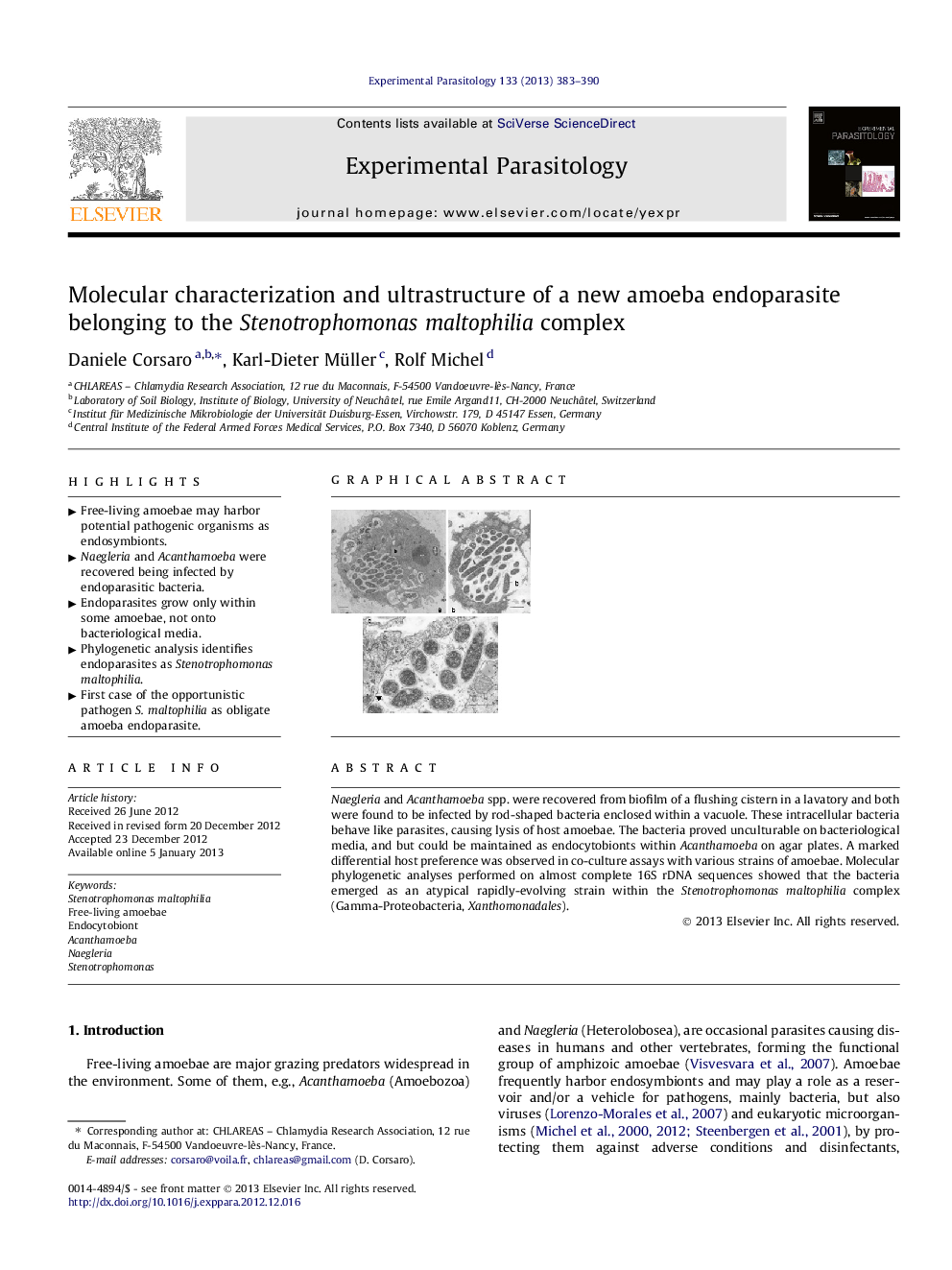 Molecular characterization and ultrastructure of a new amoeba endoparasite belonging to the Stenotrophomonas maltophilia complex