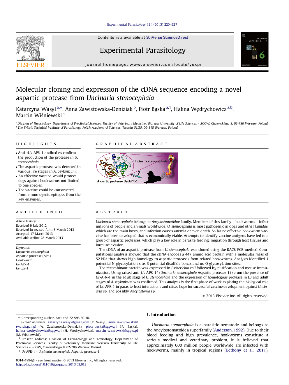 Molecular cloning and expression of the cDNA sequence encoding a novel aspartic protease from Uncinaria stenocephala