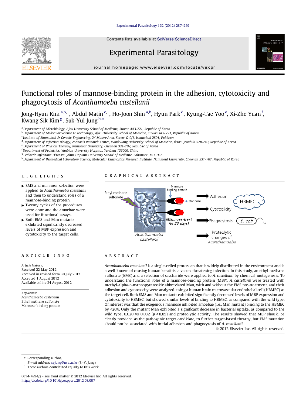 Functional roles of mannose-binding protein in the adhesion, cytotoxicity and phagocytosis of Acanthamoeba castellanii