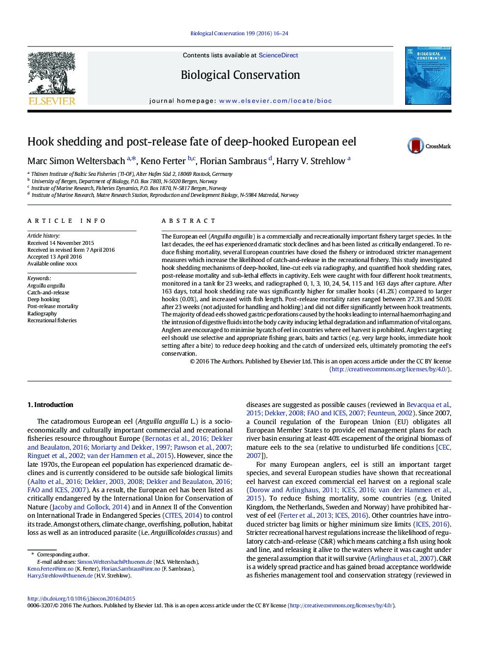 Hook shedding and post-release fate of deep-hooked European eel