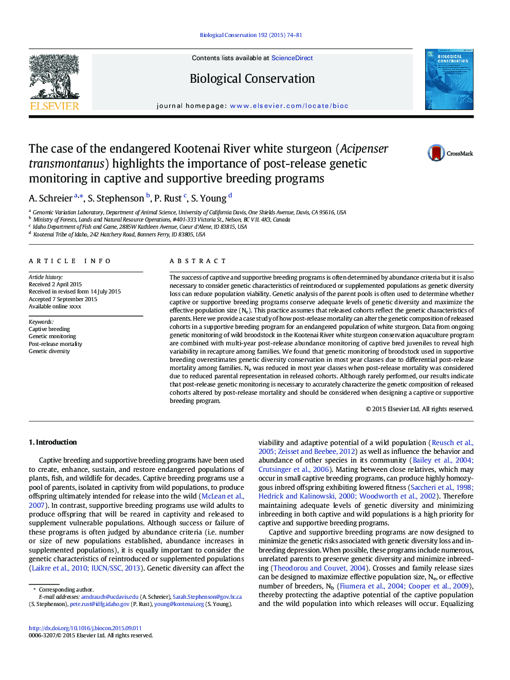 The case of the endangered Kootenai River white sturgeon (Acipenser transmontanus) highlights the importance of post-release genetic monitoring in captive and supportive breeding programs