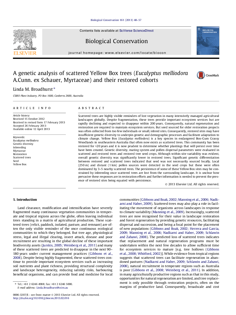 A genetic analysis of scattered Yellow Box trees (Eucalyptus melliodora A.Cunn. ex Schauer, Myrtaceae) and their restored cohorts