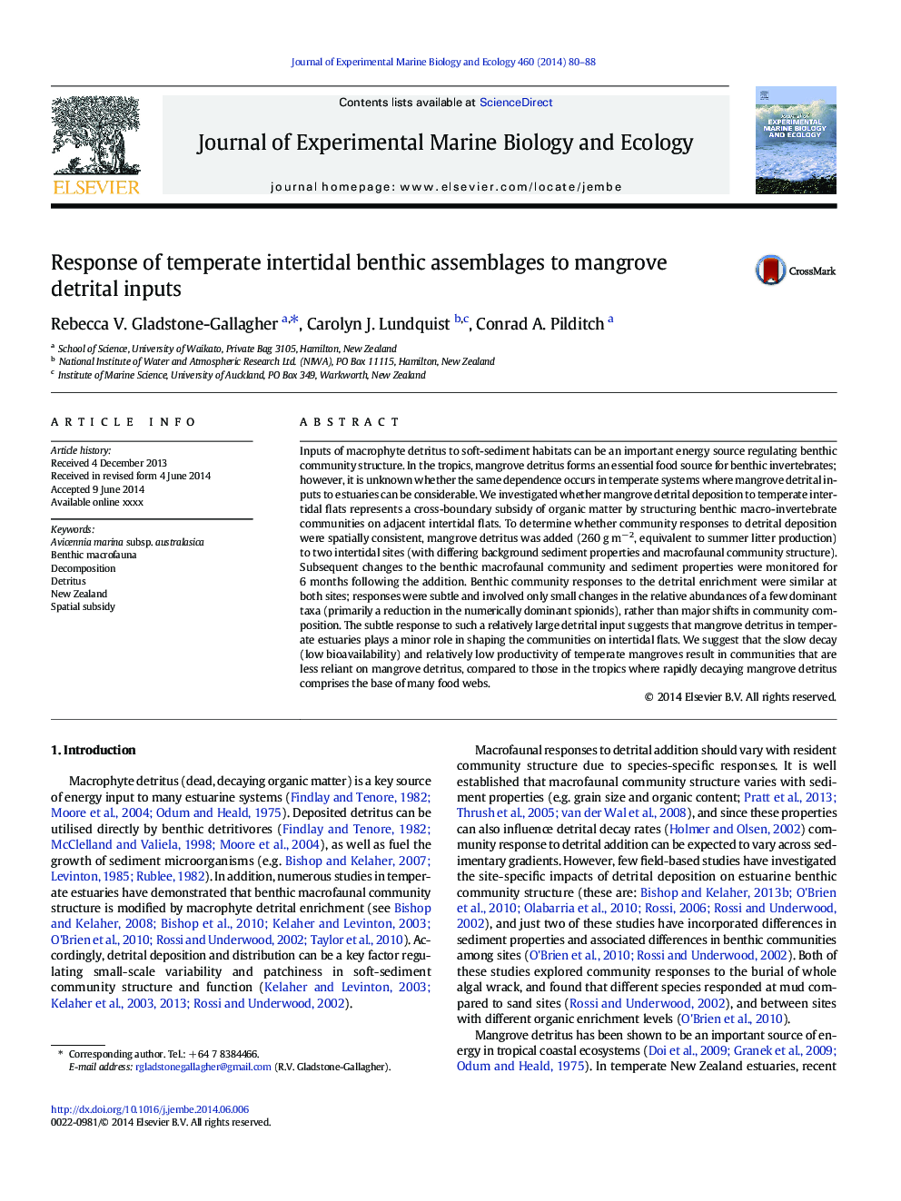 Response of temperate intertidal benthic assemblages to mangrove detrital inputs