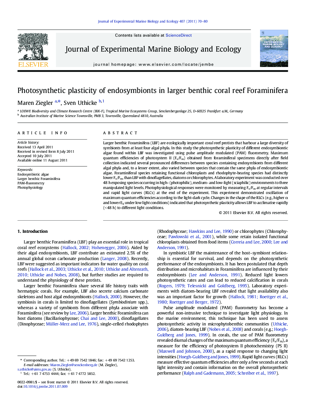 Photosynthetic plasticity of endosymbionts in larger benthic coral reef Foraminifera