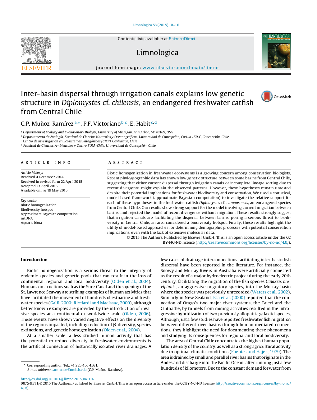 Inter-basin dispersal through irrigation canals explains low genetic structure in Diplomystes cf. chilensis, an endangered freshwater catfish from Central Chile