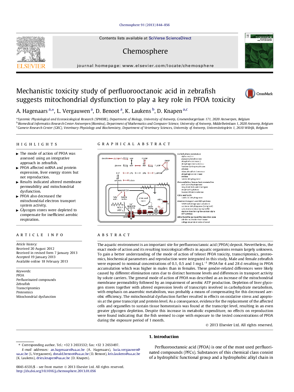 Mechanistic toxicity study of perfluorooctanoic acid in zebrafish suggests mitochondrial dysfunction to play a key role in PFOA toxicity