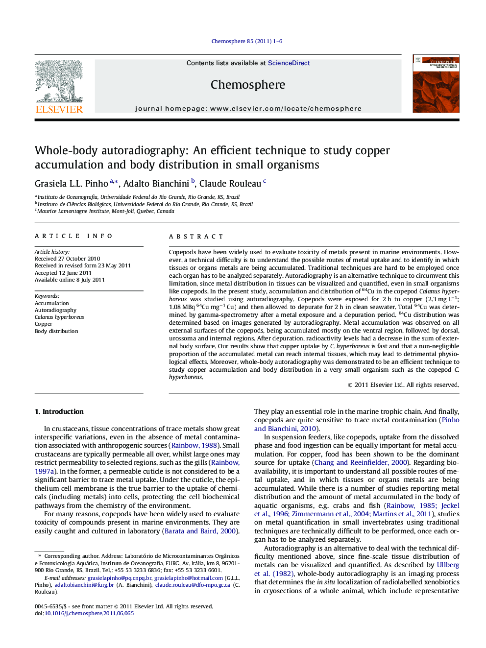 Whole-body autoradiography: An efficient technique to study copper accumulation and body distribution in small organisms