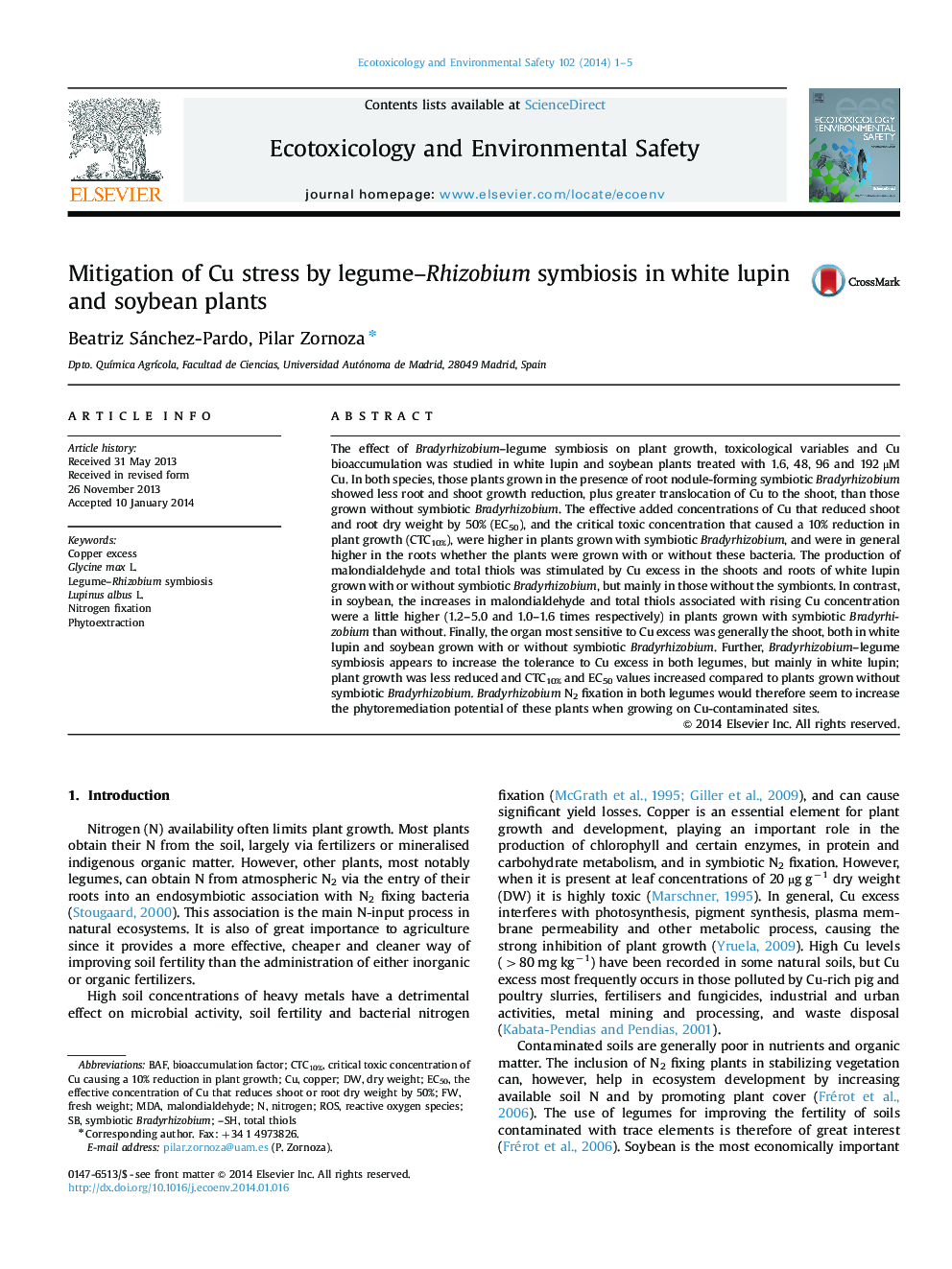Mitigation of Cu stress by legume-Rhizobium symbiosis in white lupin and soybean plants