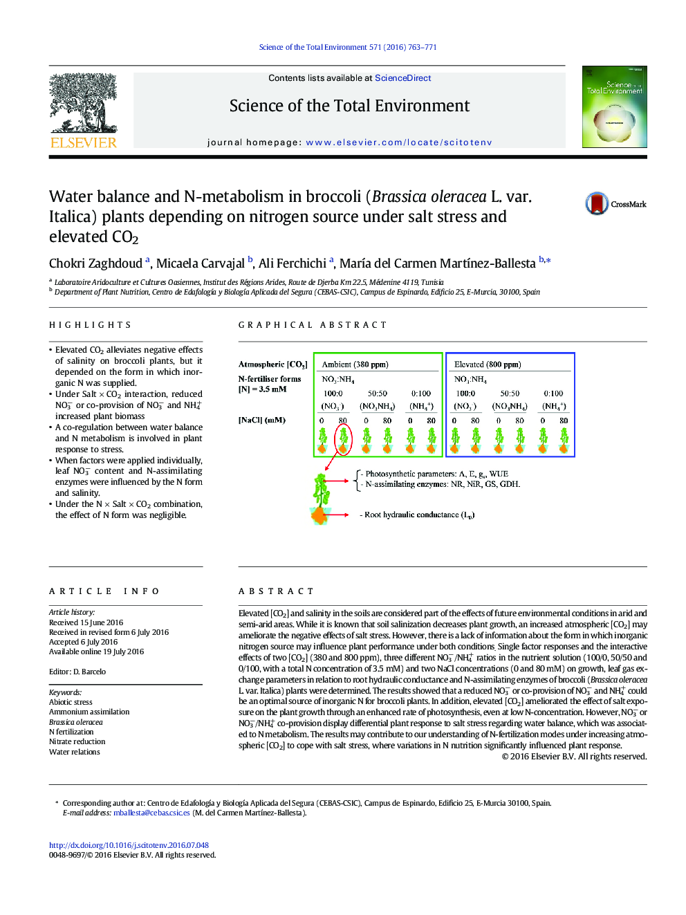 Water balance and N-metabolism in broccoli (Brassica oleracea L. var. Italica) plants depending on nitrogen source under salt stress and elevated CO2