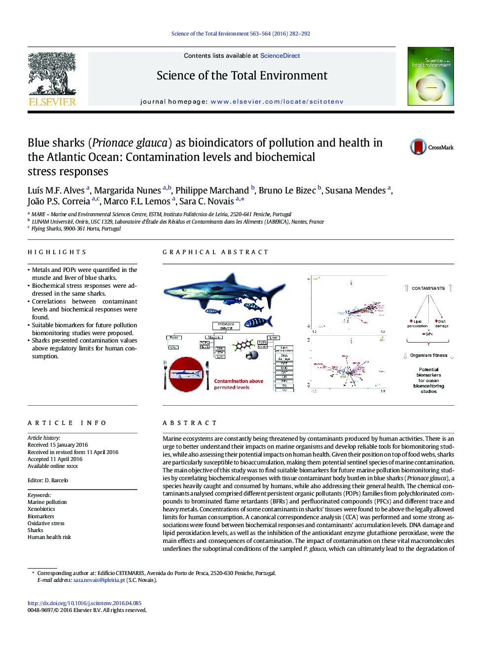 Blue sharks (Prionace glauca) as bioindicators of pollution and health in the Atlantic Ocean: Contamination levels and biochemical stress responses