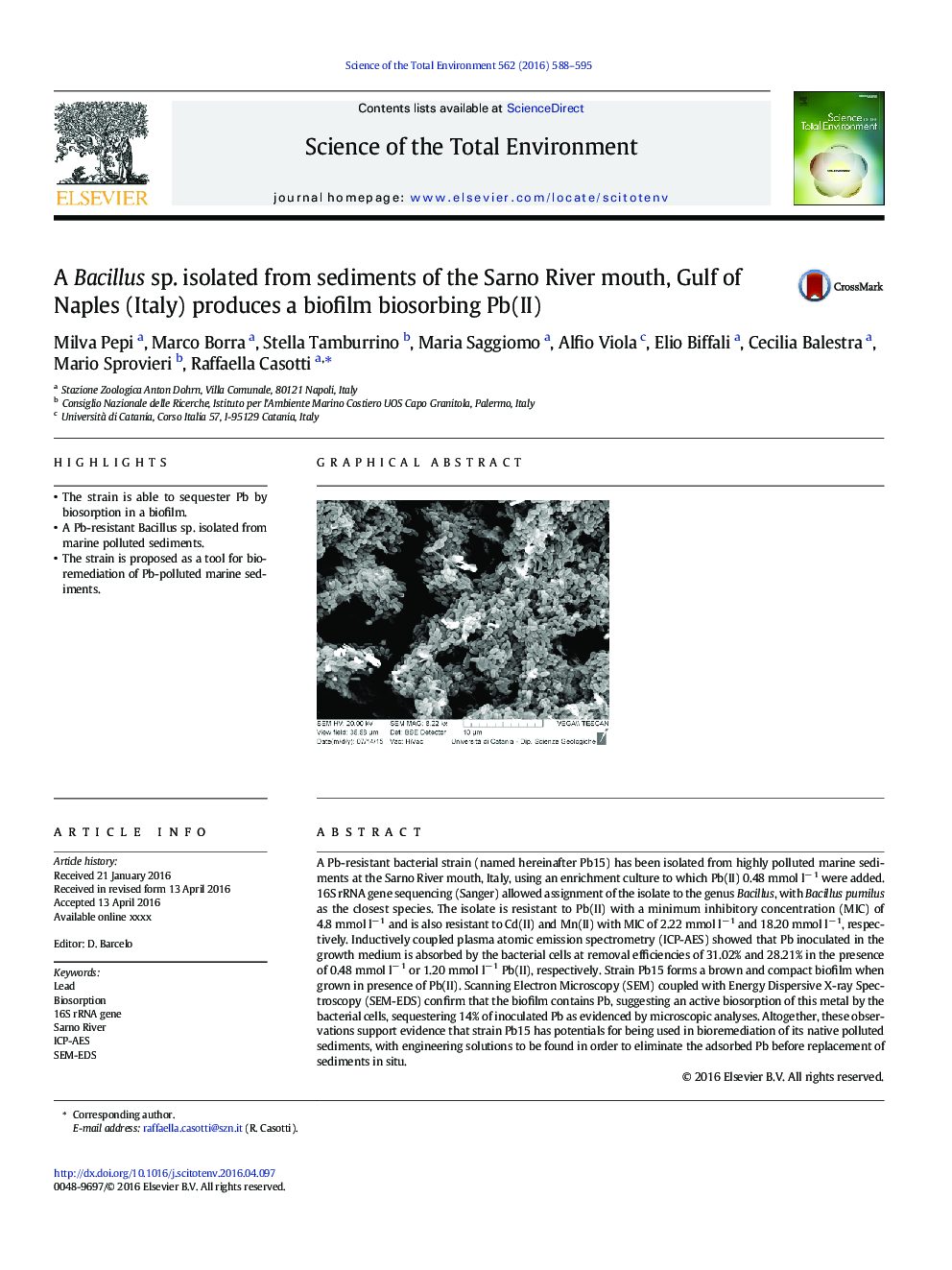 A Bacillus sp. isolated from sediments of the Sarno River mouth, Gulf of Naples (Italy) produces a biofilm biosorbing Pb(II)