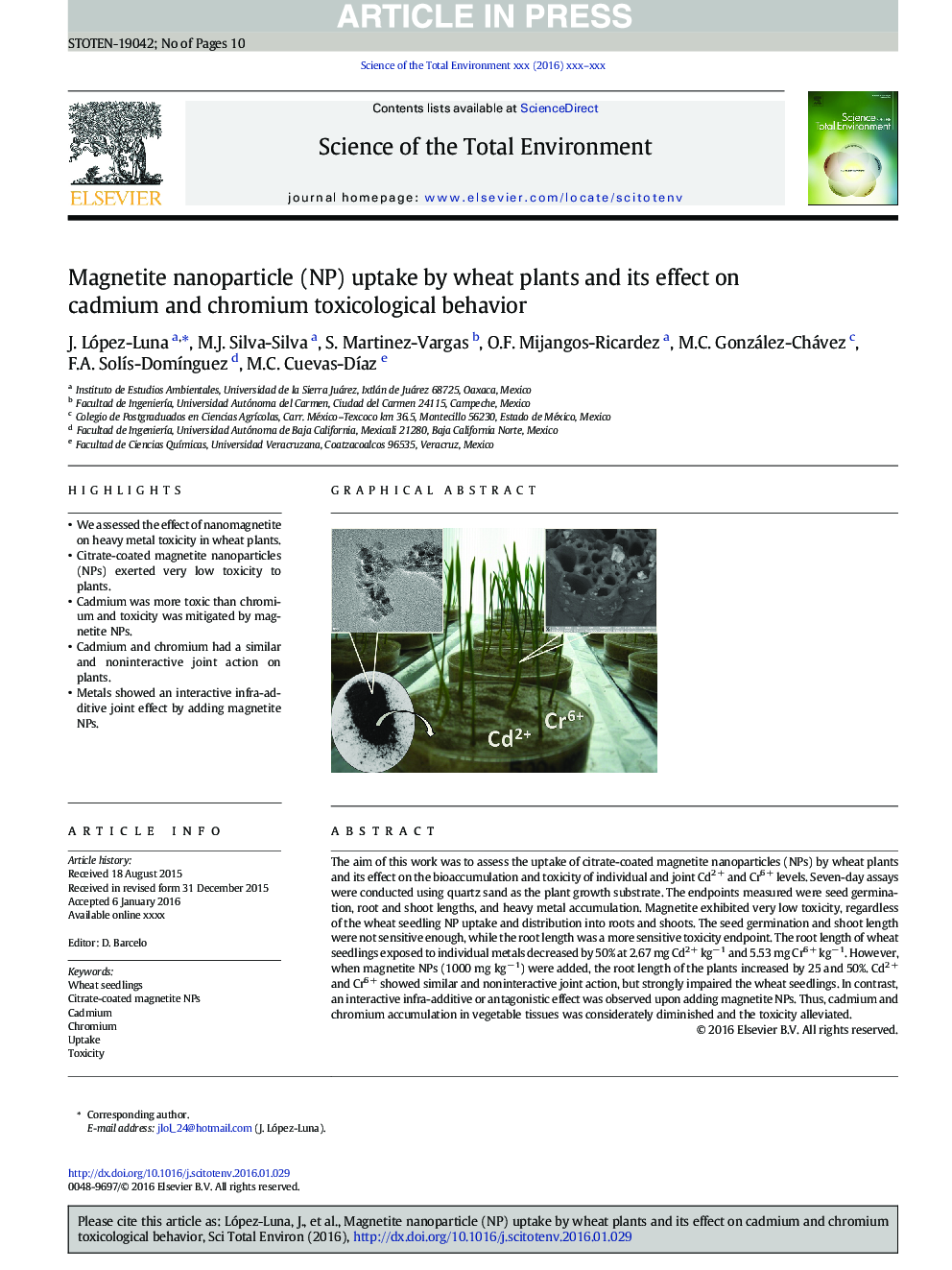 Magnetite nanoparticle (NP) uptake by wheat plants and its effect on cadmium and chromium toxicological behavior