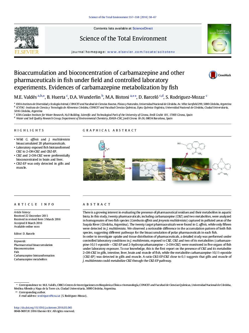 Bioaccumulation and bioconcentration of carbamazepine and other pharmaceuticals in fish under field and controlled laboratory experiments. Evidences of carbamazepine metabolization by fish