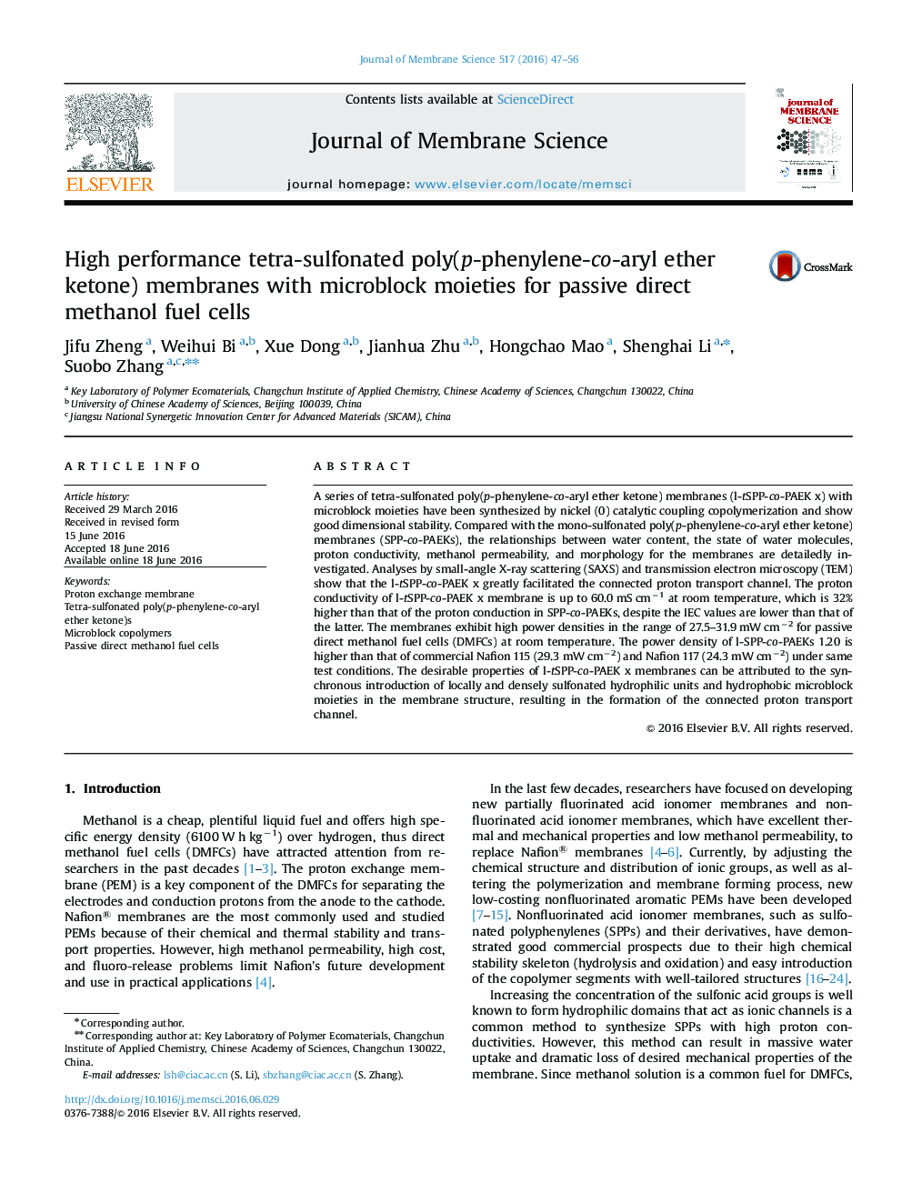 High performance tetra-sulfonated poly(p-phenylene-co-aryl ether ketone) membranes with microblock moieties for passive direct methanol fuel cells