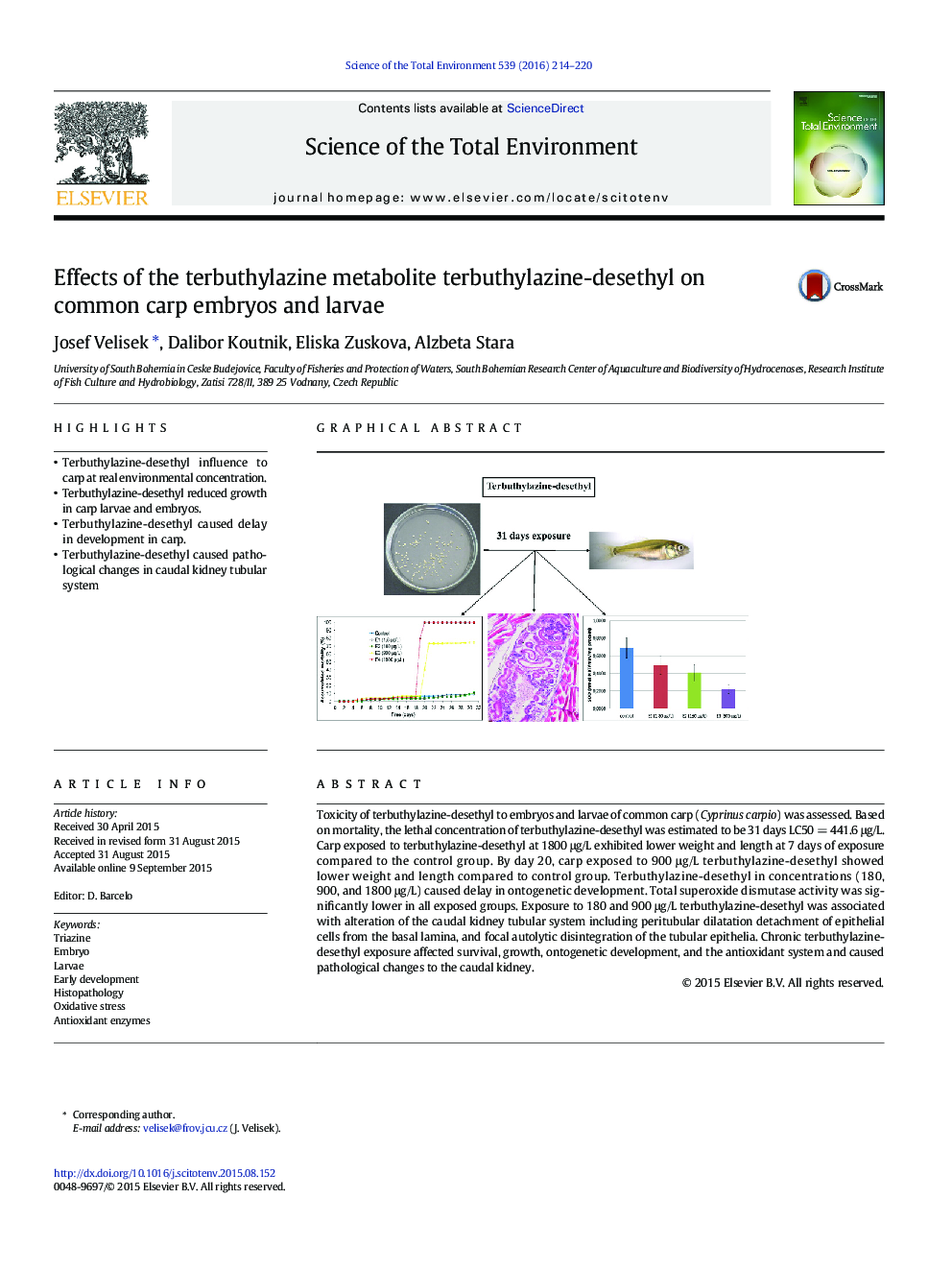 Effects of the terbuthylazine metabolite terbuthylazine-desethyl on common carp embryos and larvae