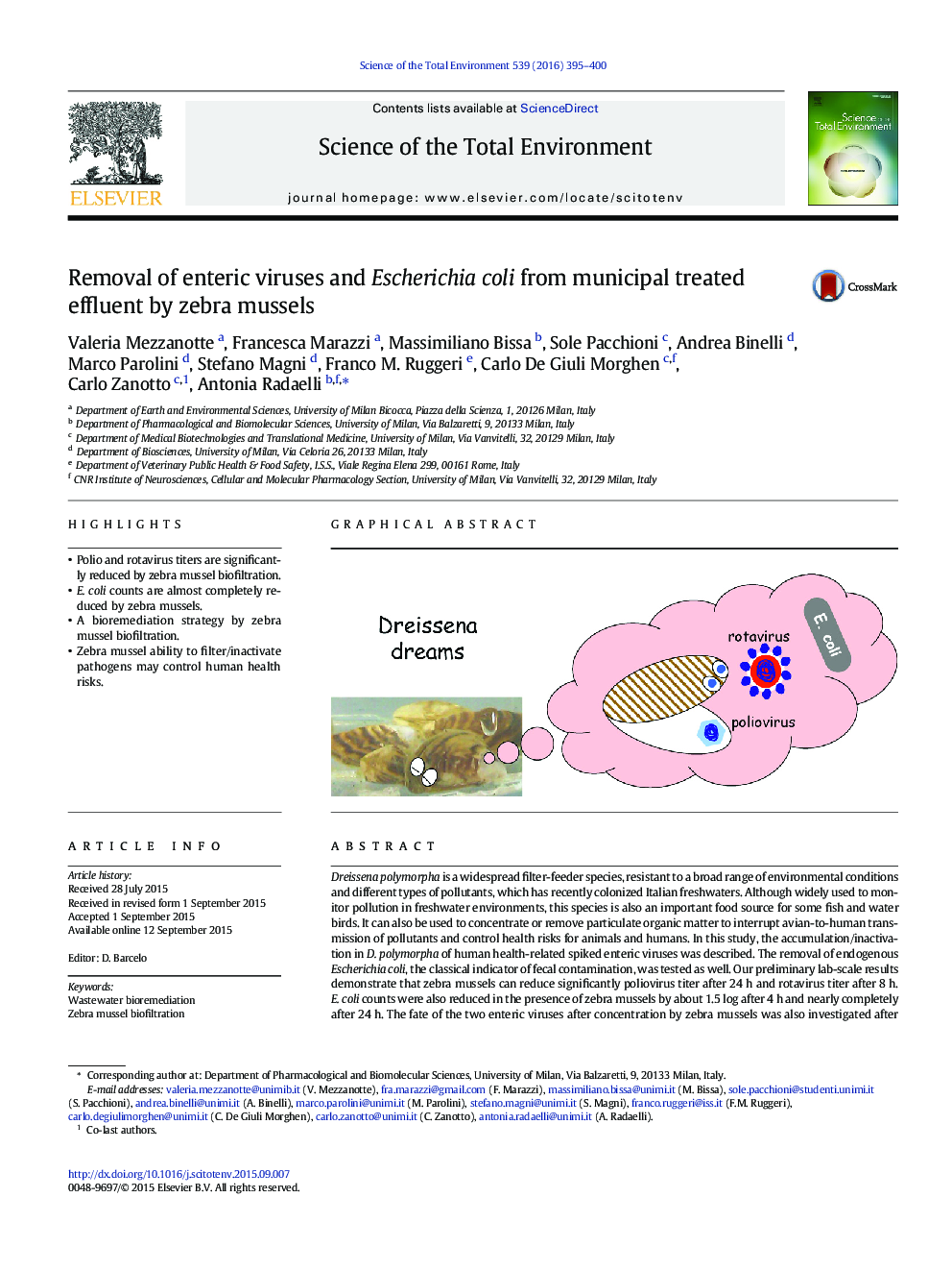 Removal of enteric viruses and Escherichia coli from municipal treated effluent by zebra mussels