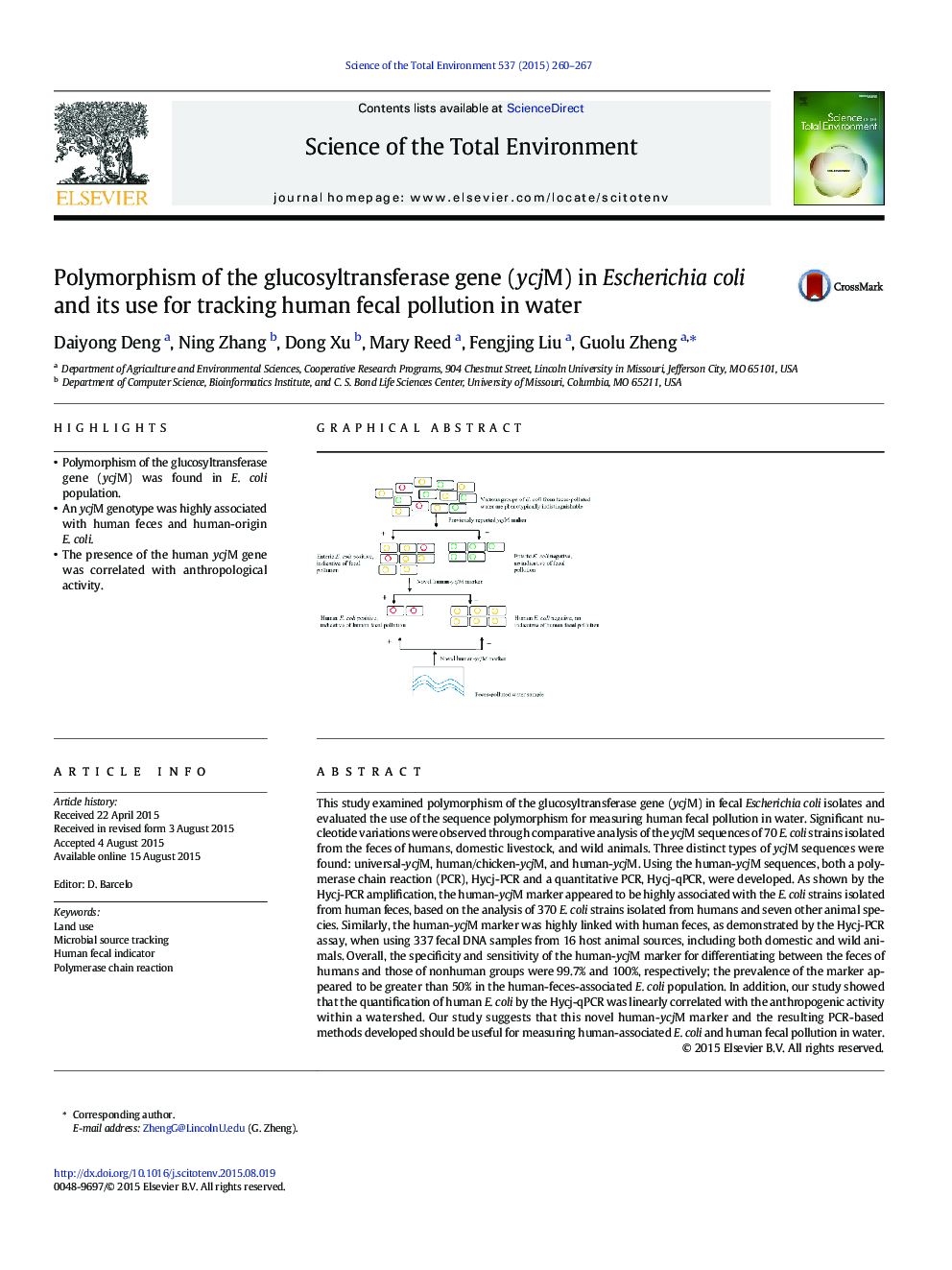 Polymorphism of the glucosyltransferase gene (ycjM) in Escherichia coli and its use for tracking human fecal pollution in water