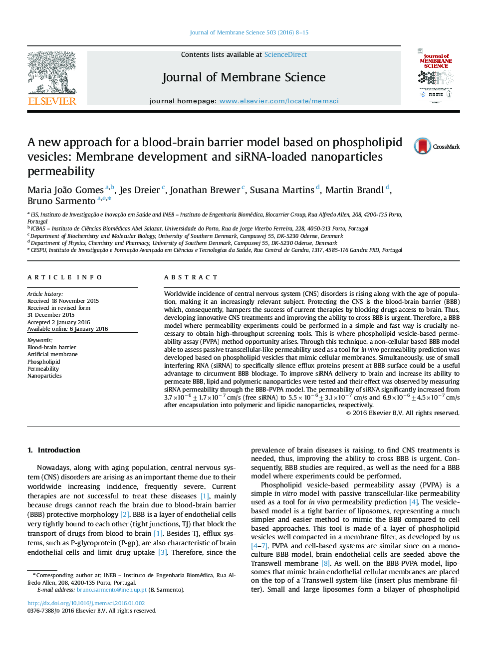 A new approach for a blood-brain barrier model based on phospholipid vesicles: Membrane development and siRNA-loaded nanoparticles permeability