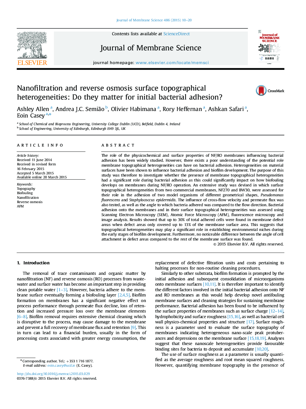 Nanofiltration and reverse osmosis surface topographical heterogeneities: Do they matter for initial bacterial adhesion?