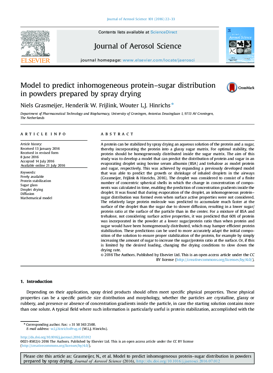 Model to predict inhomogeneous protein-sugar distribution in powders prepared by spray drying