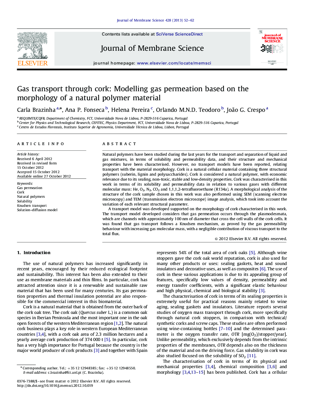 Gas transport through cork: Modelling gas permeation based on the morphology of a natural polymer material