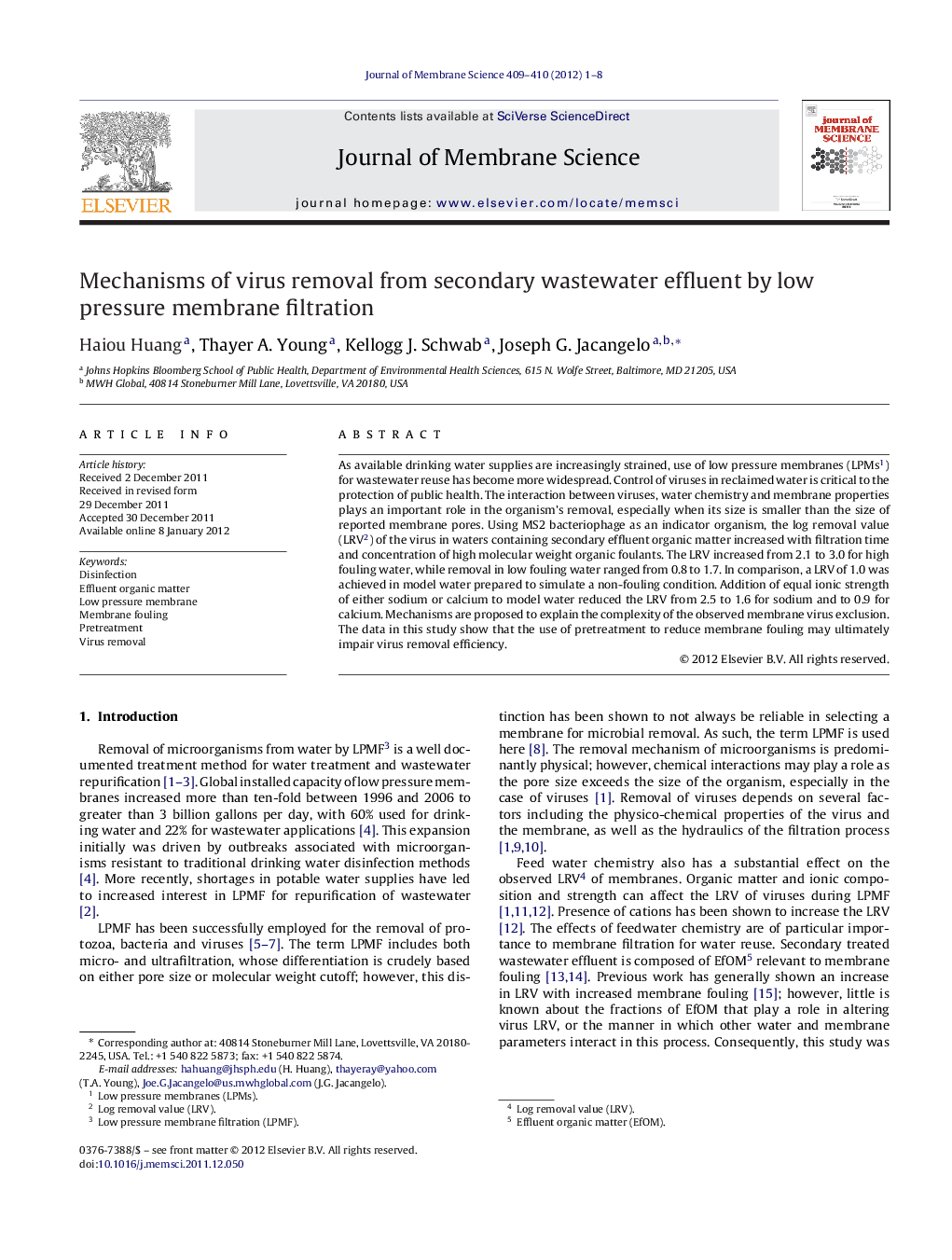 Mechanisms of virus removal from secondary wastewater effluent by low pressure membrane filtration