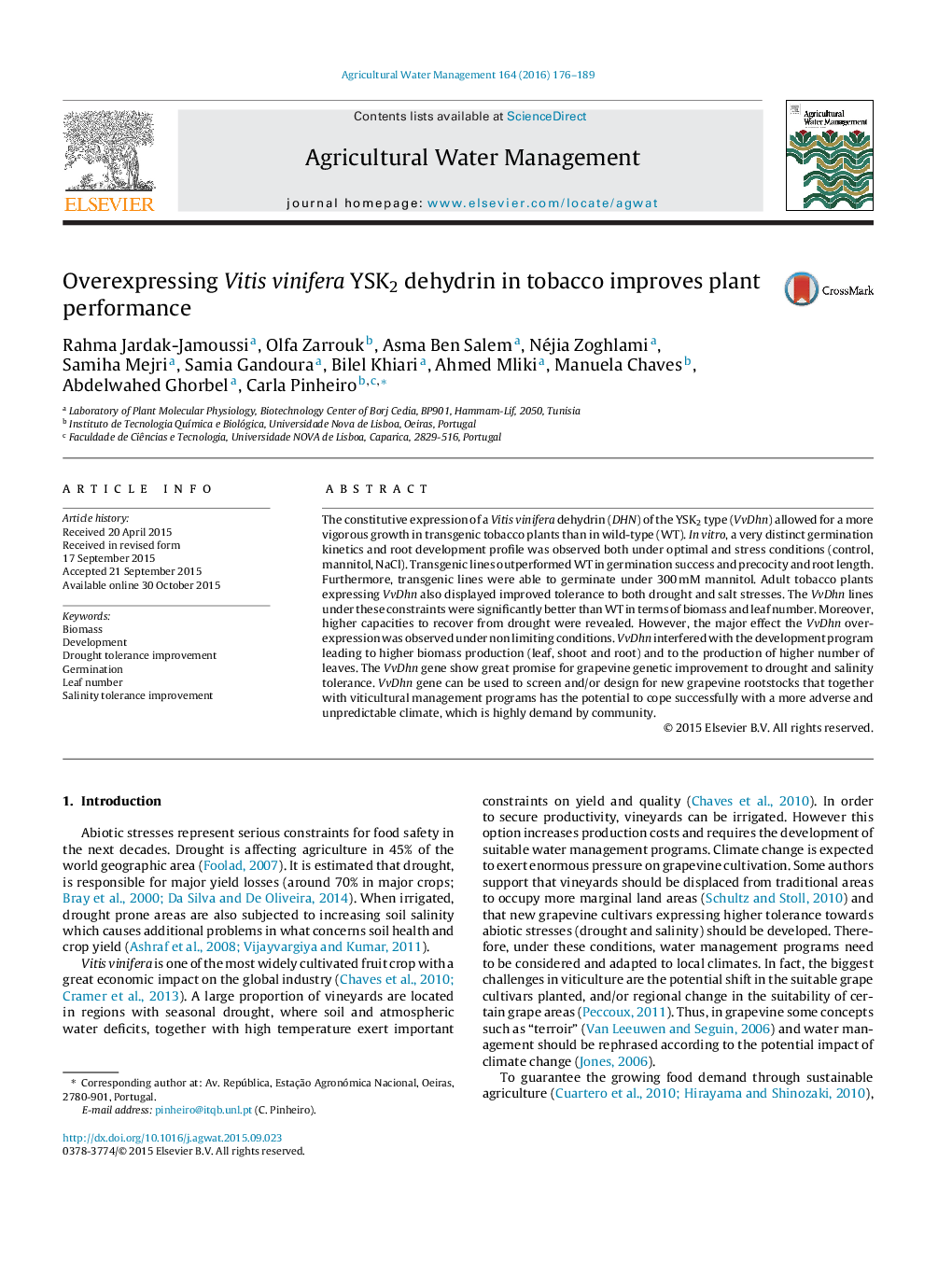 Overexpressing Vitis vinifera YSK2 dehydrin in tobacco improves plant performance