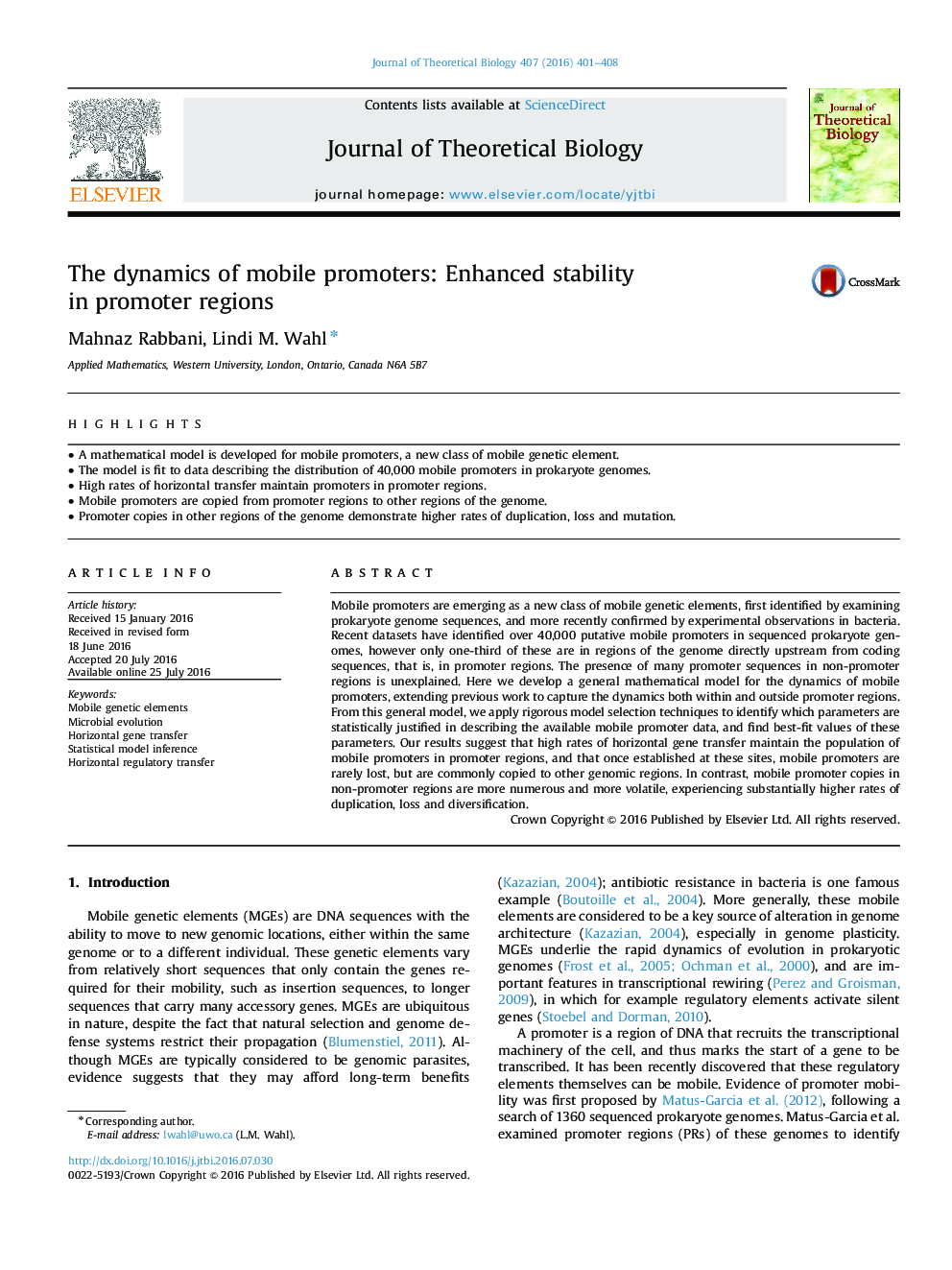 The dynamics of mobile promoters: Enhanced stability in promoter regions