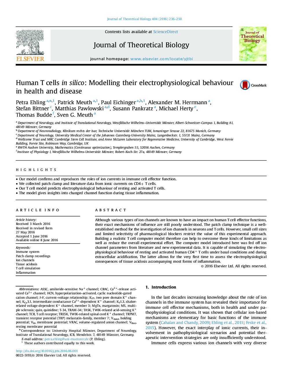 Human T cells in silico: Modelling their electrophysiological behaviour in health and disease