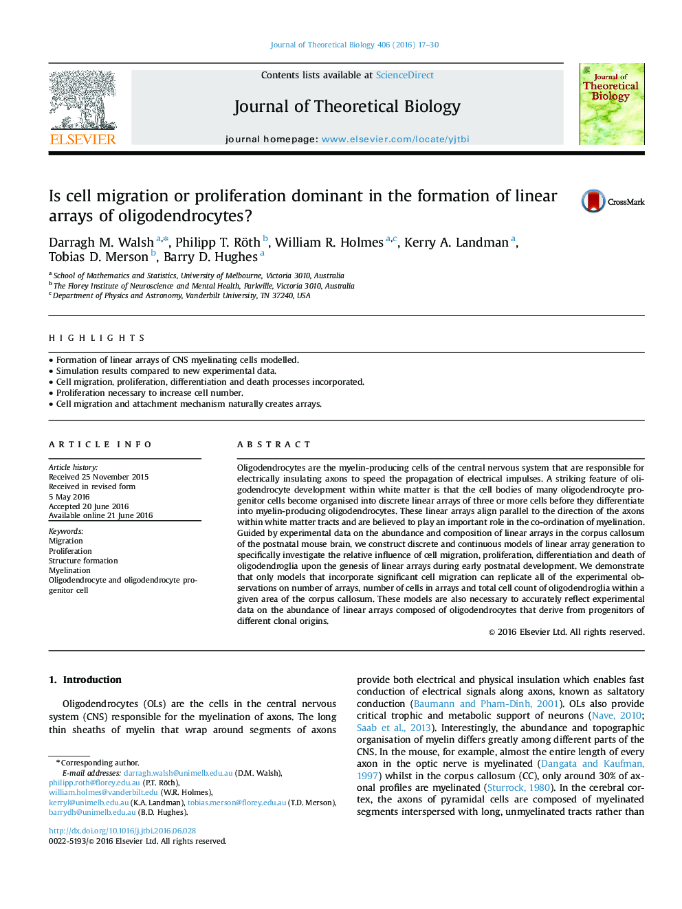 Is cell migration or proliferation dominant in the formation of linear arrays of oligodendrocytes?