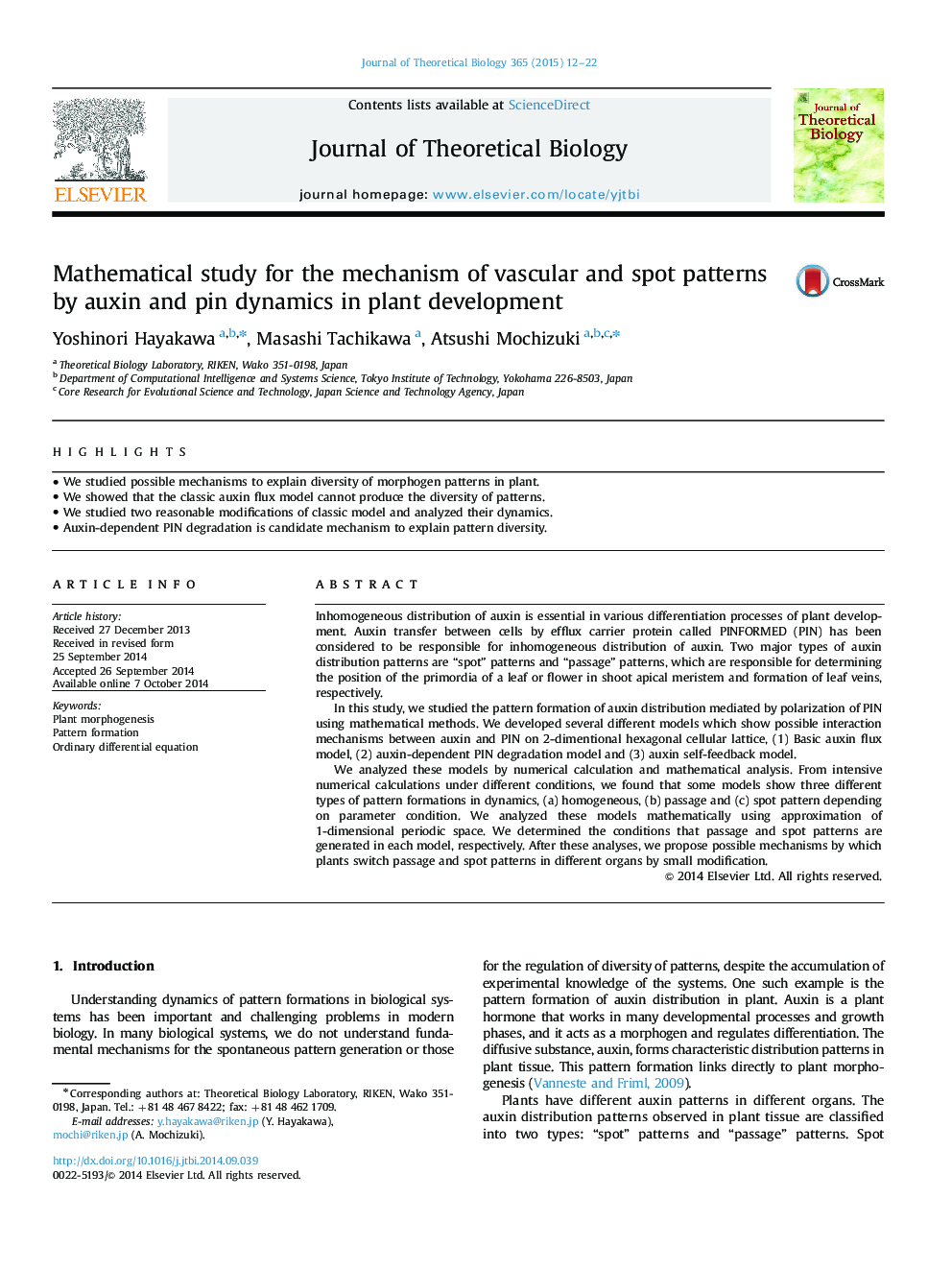 Mathematical study for the mechanism of vascular and spot patterns by auxin and pin dynamics in plant development