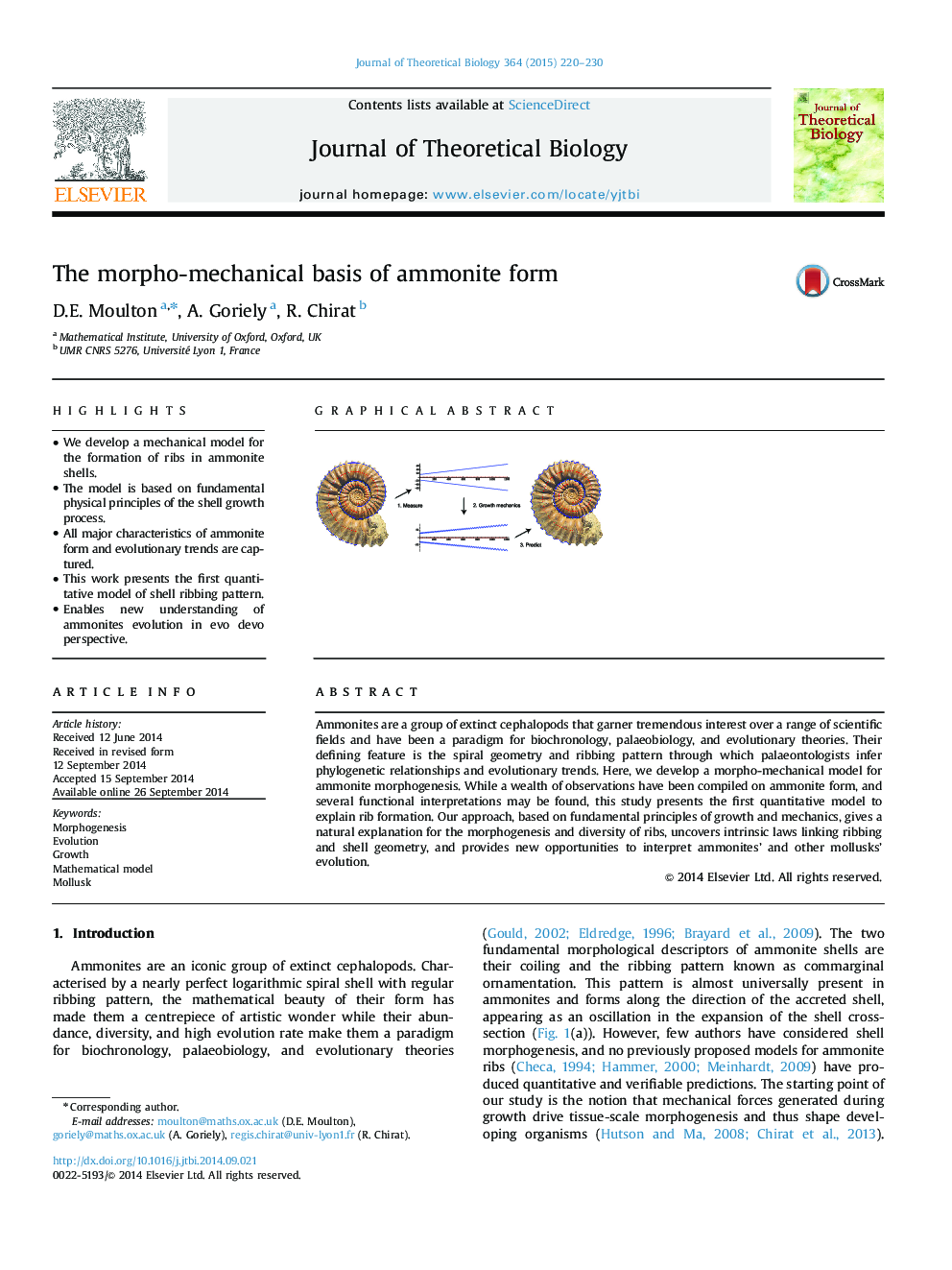 The morpho-mechanical basis of ammonite form