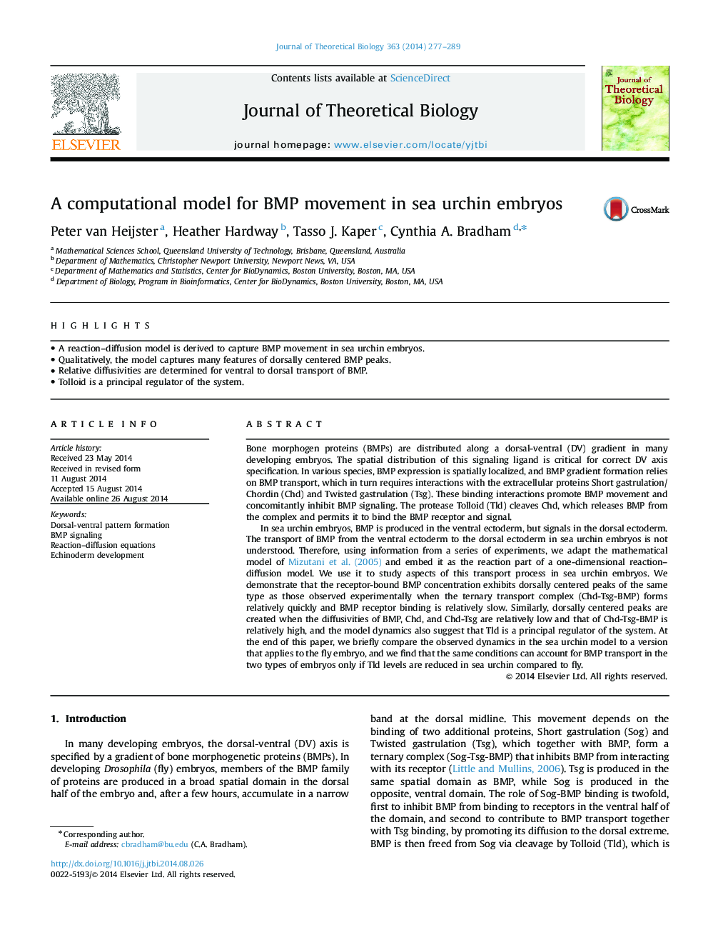 A computational model for BMP movement in sea urchin embryos