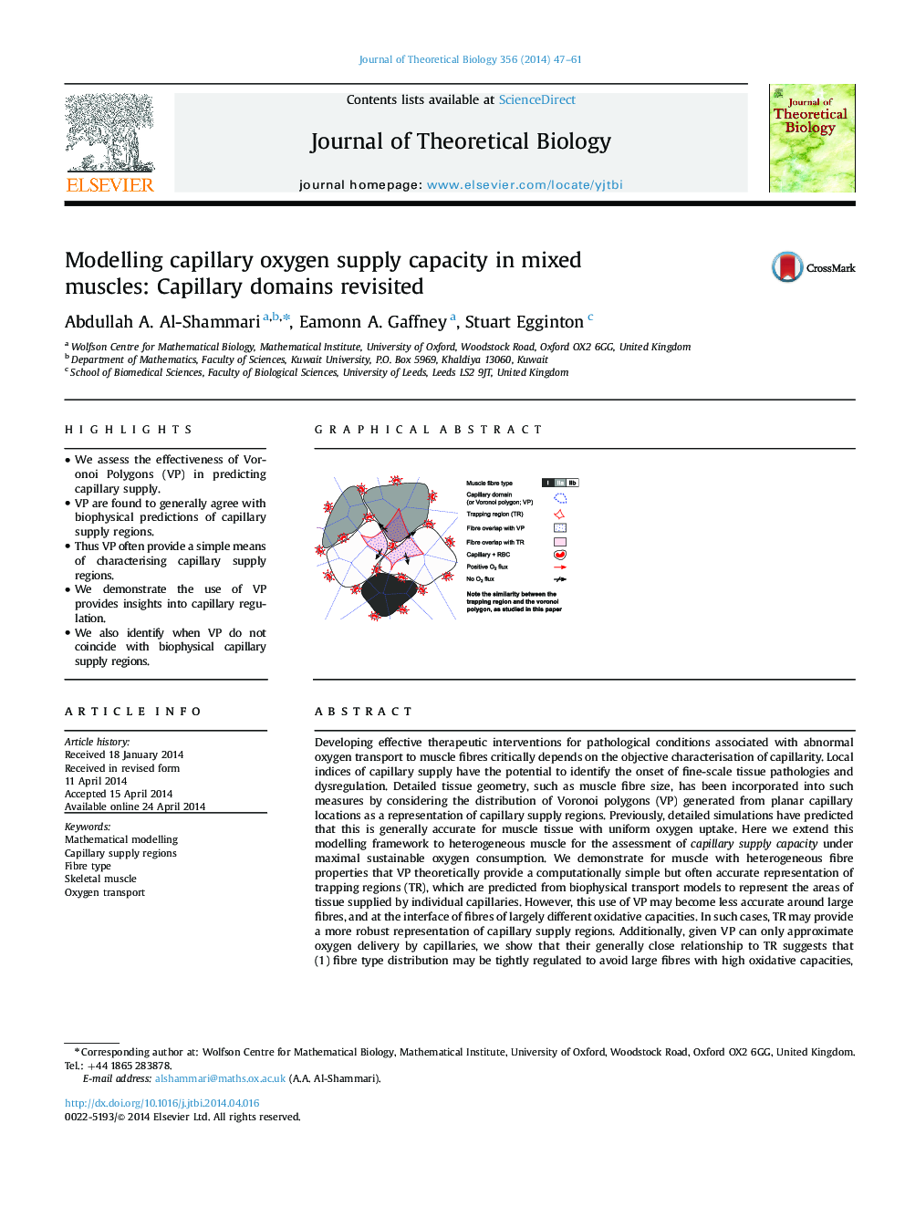 Modelling capillary oxygen supply capacity in mixed muscles: Capillary domains revisited