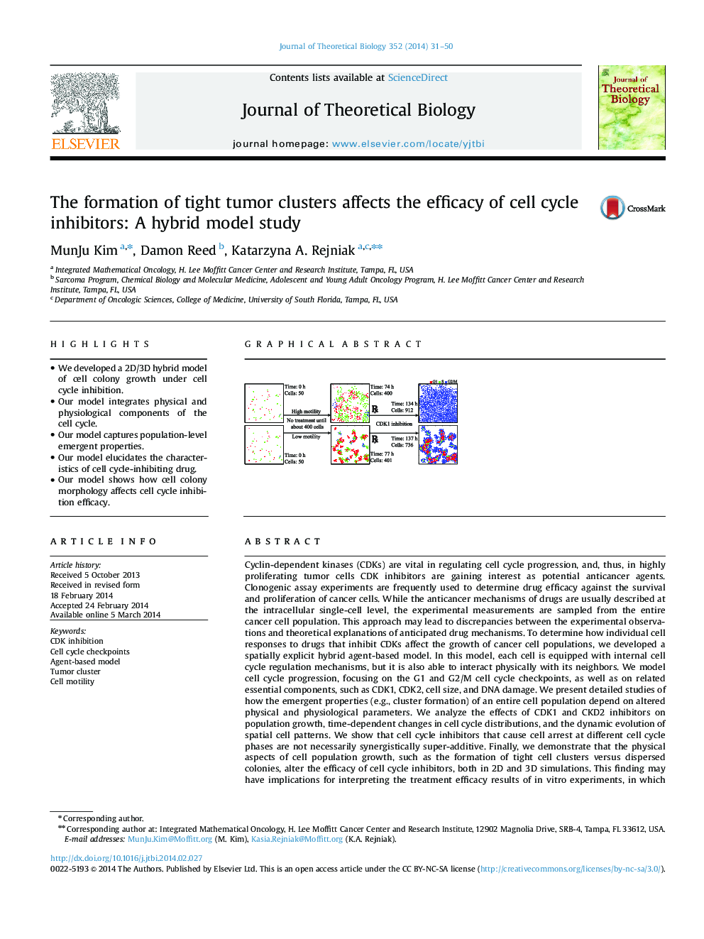 The formation of tight tumor clusters affects the efficacy of cell cycle inhibitors: A hybrid model study