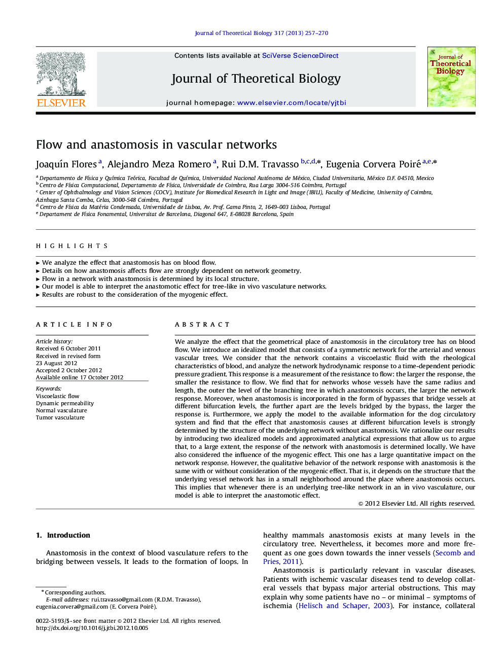 Flow and anastomosis in vascular networks