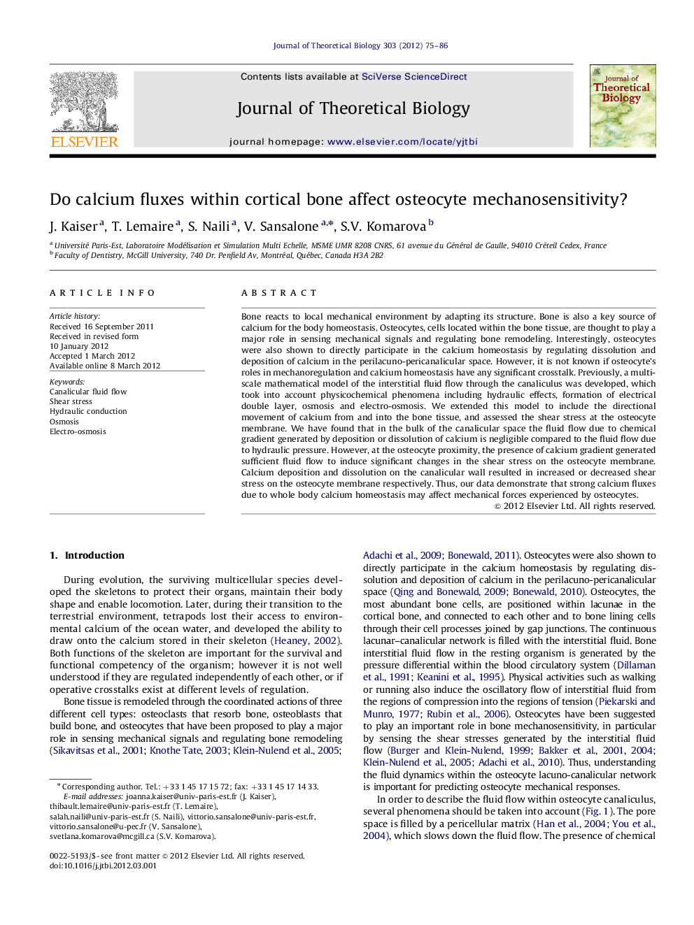 Do calcium fluxes within cortical bone affect osteocyte mechanosensitivity?