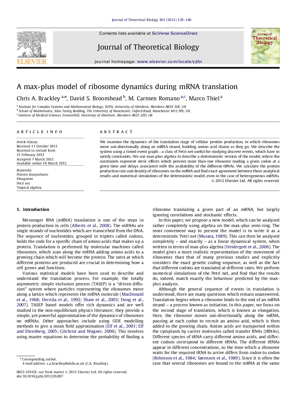 A max-plus model of ribosome dynamics during mRNA translation