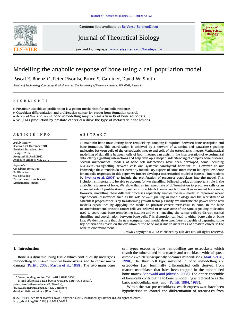 Modelling the anabolic response of bone using a cell population model