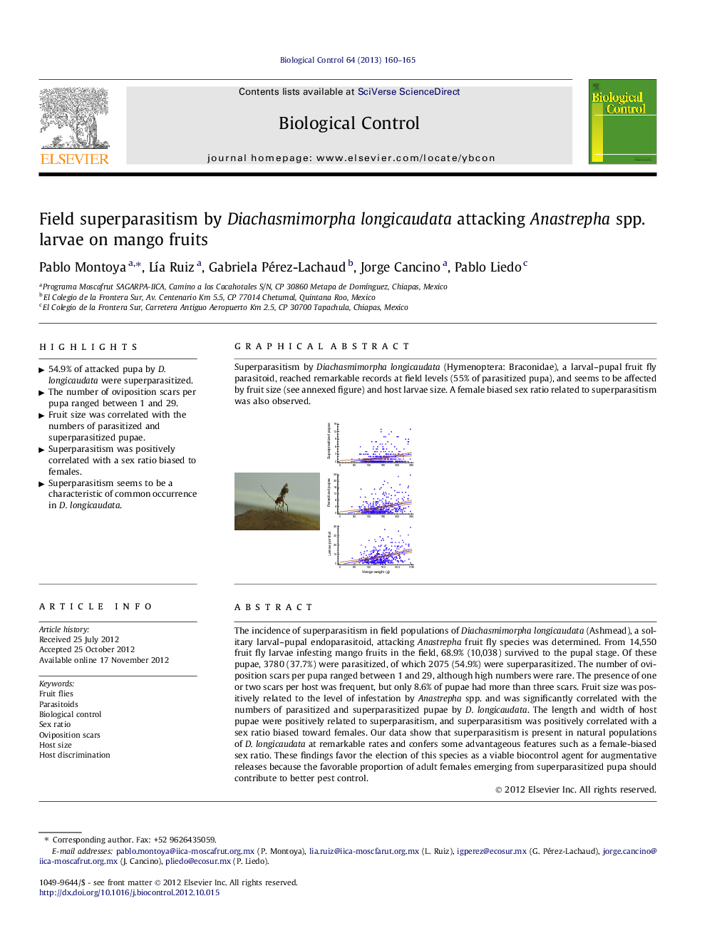 Field superparasitism by Diachasmimorpha longicaudata attacking Anastrepha spp. larvae on mango fruits